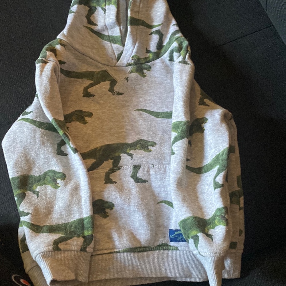 Boys H&M dino hoodie